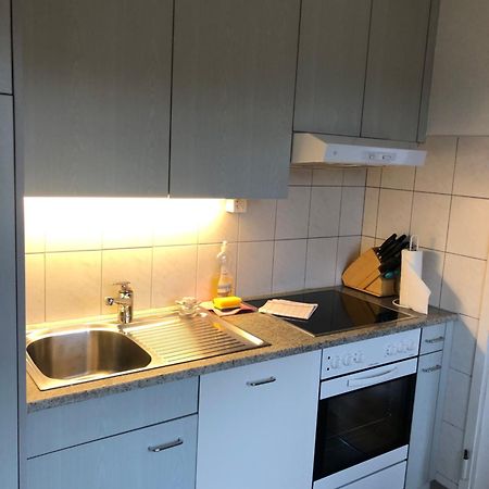 Cozy, Sunny, City Center 1 Bedroom Flat Цюрих Екстериор снимка