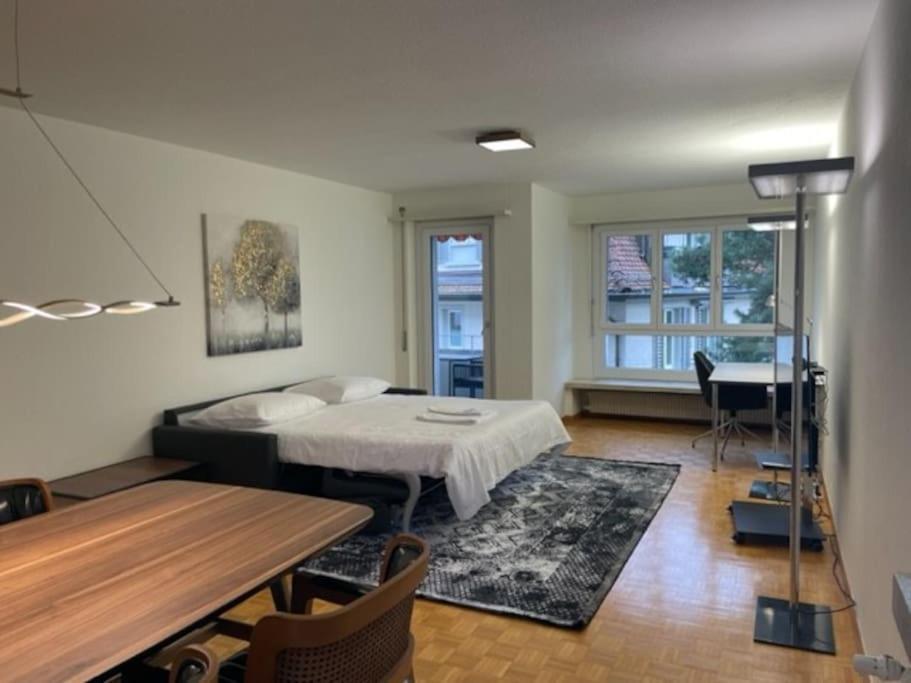 Cozy, Sunny, City Center 1 Bedroom Flat Цюрих Екстериор снимка
